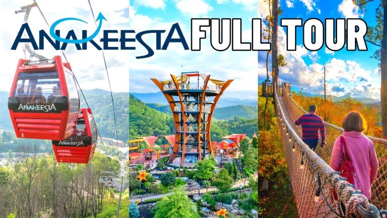 Discover the Magic of Anakeesta: Gatlinburg’s Mountaintop Adventure