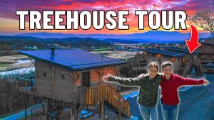 The Smokies Hotels & Cabins