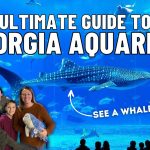 The Ultimate Guide to the Georgia Aquarium in Atlanta
