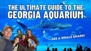 The Ultimate Guide to the Georgia Aquarium in Atlanta